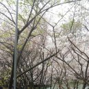 복싱피스트 호수 이미지