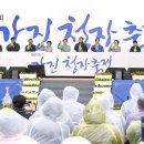 강진청자축제 이미지