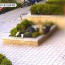 낙성대로 이미지