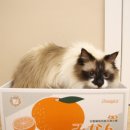 찰리호텔 이미지