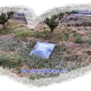 청송시장2 이미지