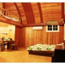 숲속의 이글루 이미지