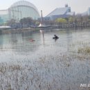 부천 상동 호수공원서 여성 익사체 발견…30대로 추정 이미지