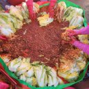 토토생활용품