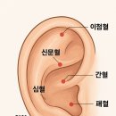 올가드림뷰티전주대점
