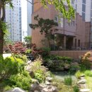 대림아파트 단지 내 이미지