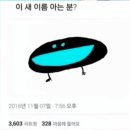 어깨걸이 극락조 이미지