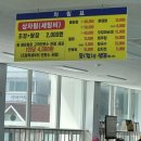 속초 배낚시는 무조건 동광호배낚시(참가자미 낚시 후기, 속초 회맛집 추천 등)
