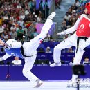 국가대표 태권도 금메달도장 이미지