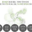 주식회사 클린환경 이미지