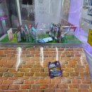 왕창뽑기방 이미지