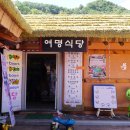 여명식당 이미지