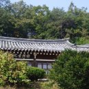 단계 하위지(1412~1456)
