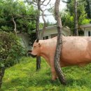 쌀밭나드리 이미지