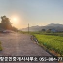 금송유스호스텔