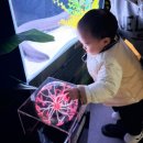 대전아쿠아리움 | 대전 엑스포 아쿠아리움 내돈내산 후기 대전 실내 아이랑 가볼 만한 곳