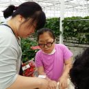 전주전라초등학교 이미지