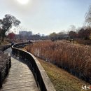 한밭수목원 동원 이미지