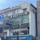 홍대 이색 놀거리 추천 다양한 동물이 있는 애견 카페 페럿월드