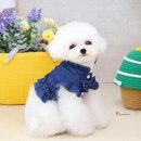 코디애견샵 이미지