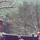 (주)지핌 이미지