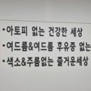 세종김연수피부과의원 네이버블로그