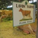 인건농장 이미지