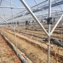 이성재농장 이미지