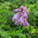 구례사람들 이미지