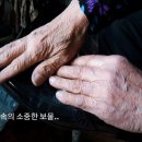 유림사 이미지