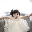드레스진 이미지