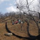 지업농장 이미지