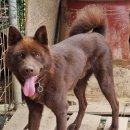 거시기농원 이미지