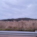 궁평2리 마을회관 이미지