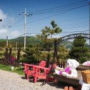 돌고래펜션 이미지