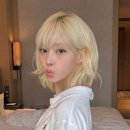 유)상무 이미지