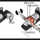 머슬96짐