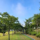 오테힐 게스트하우스 | 괴산 워케이션의 힐링 스팟, 괴산오가닉테마파크 산책기