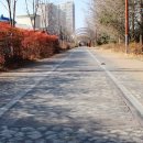 대구선동촌공원3 이미지