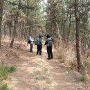 동수목장 이미지