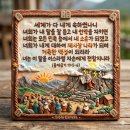 날개우리옷