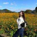 오천보건지소 | 남양주 가을 나들이 물의 정원 코스모스, 주차 등 리뷰