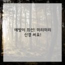 안녕 우리집 이미지