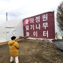 조안면 축구장[송촌-10] | 남양주 더드림딸기체험농장 2농장 물의정원 체험 추천, 남양주 아이와가볼만한곳