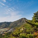 충청남도 태안군청소년수련관 | 등산하기 좋은 5월! 태안의 진산 백화산 등산코스