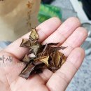 토림공방 이미지