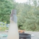 장안3교 | 포천 캠핑라운지 2구역 반려견 동반 가능한 계곡 품은 캠핑장 상세리뷰 2박 캠핑 후기