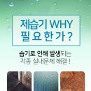 DSJ 이미지