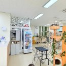 천안두정중학교 | 천안고양이카페 데이트코스 아이동반가능 야옹이네고양이카페 천안직영점 후기