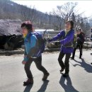 장성 축령산(문수산), 살짜기 들여다본 문수사 단풍숲 이미지